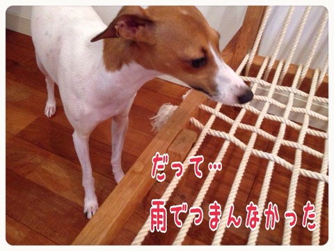 2015-09-03-23-07-41