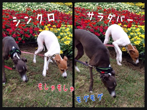 2014-10-13-14-01-05