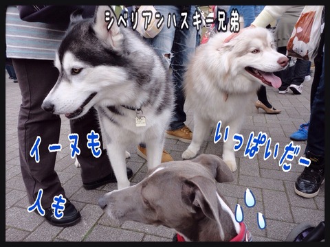 2015-04-13-21-05-29