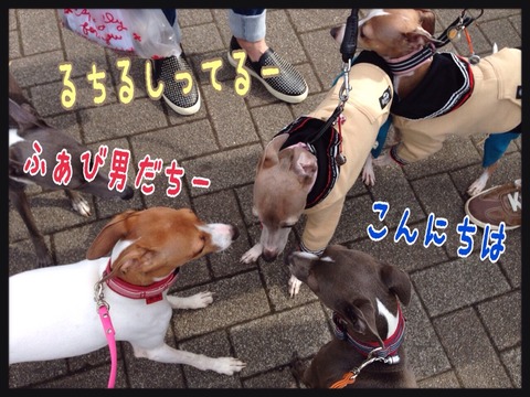 2015-04-12-22-24-31