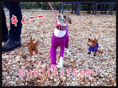 2015-01-28-22-53-48