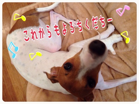 2015-08-29-23-08-41