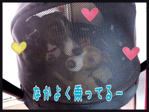 2015-04-12-21-46-10