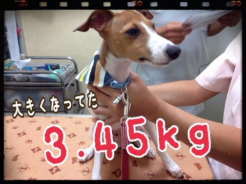 2014-10-09-22-17-18