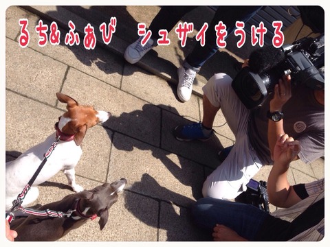 2015-06-29-20-09-59