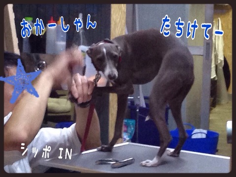 2015-04-19-19-10-37