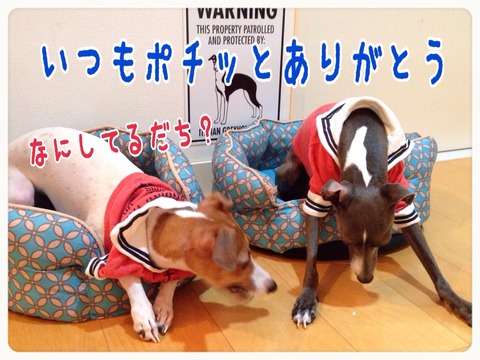 2015-08-29-23-06-29