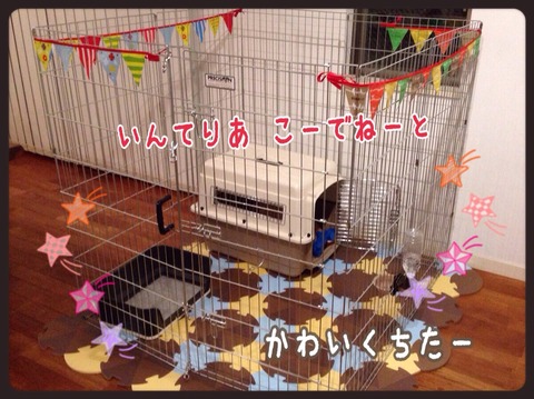 2014-12-30-22-32-59