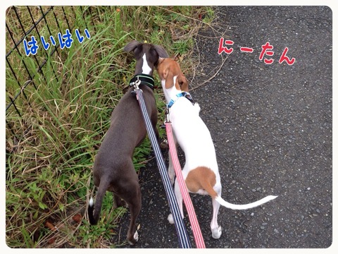 2014-10-02-19-24-24