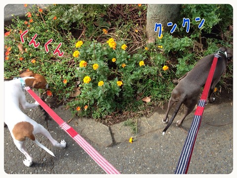2014-10-02-16-33-28