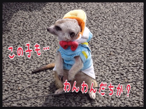 2015-04-12-22-39-43