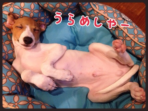 2014-09-05-21-07-41