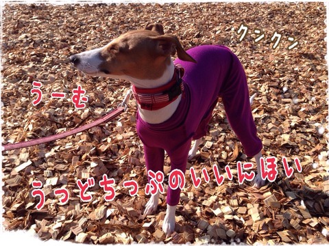 2014-12-31-20-53-34