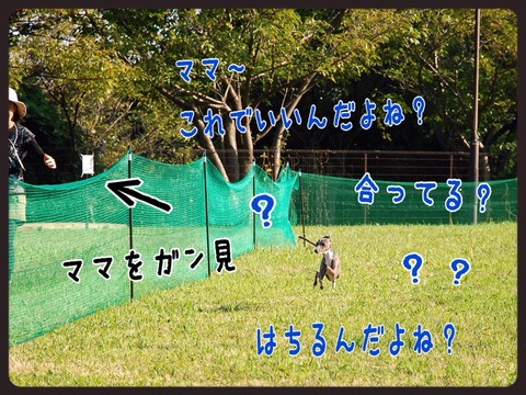 2014-10-19-22-23-20