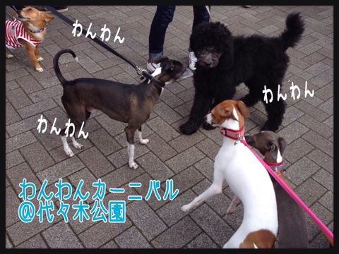 2015-04-12-22-37-55