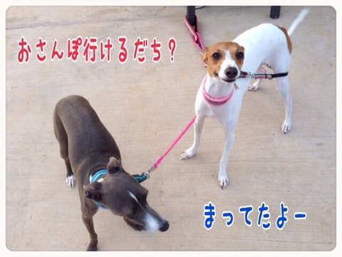 2015-07-22-22-49-30