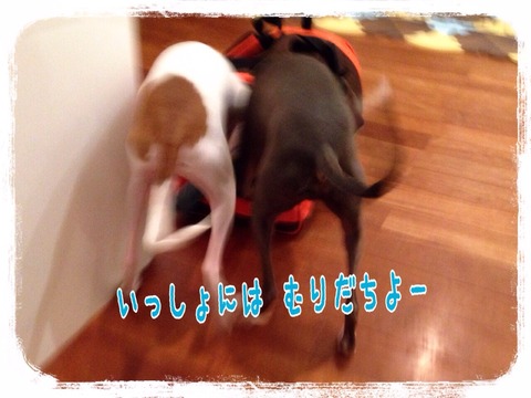 2015-01-21-20-59-54
