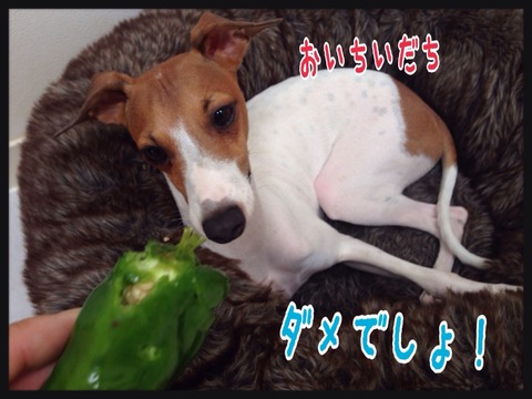 2015-09-30-14-53-10