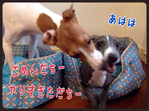 2015-04-22-22-39-59