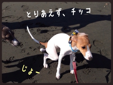 2014-10-04-00-32-17