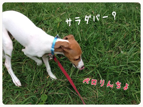 2014-10-02-19-21-40