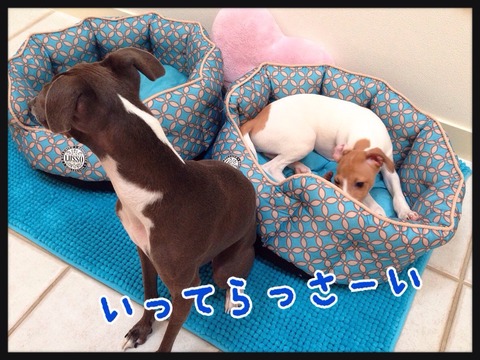 2014-09-02-05-46-39