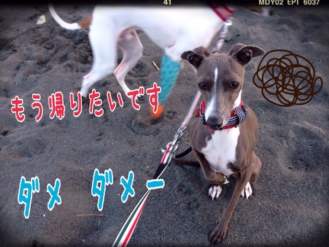 2015-01-23-20-55-10
