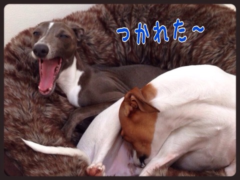 2015-04-19-19-28-59