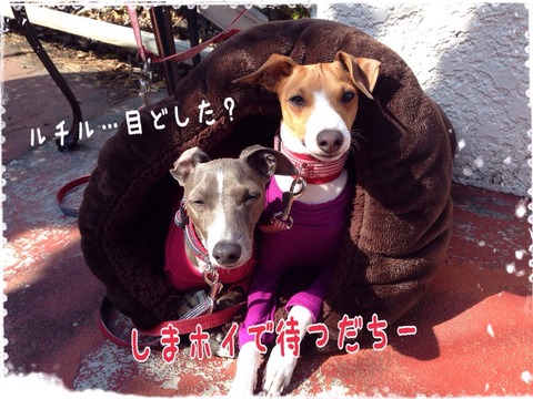 2015-02-16-22-09-22