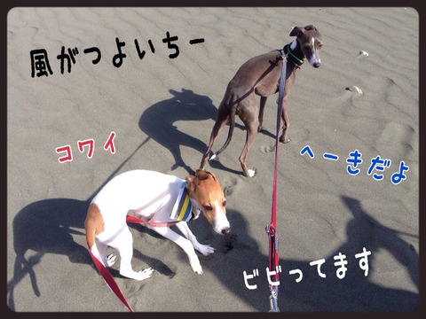 2014-10-04-00-00-56