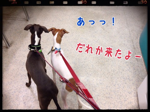 2014-10-09-22-38-16