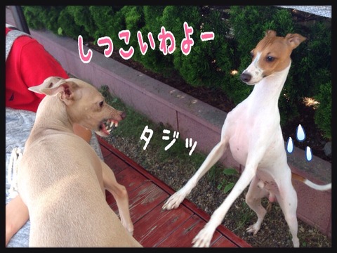 2015-07-30-23-57-01