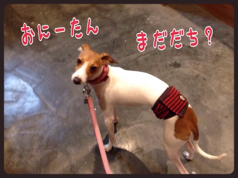 2015-04-19-19-11-53