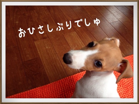 2014-09-10-10-13-39