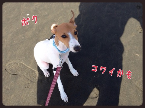 2014-10-04-00-45-41