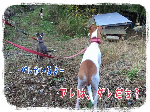 2015-10-20-22-20-57