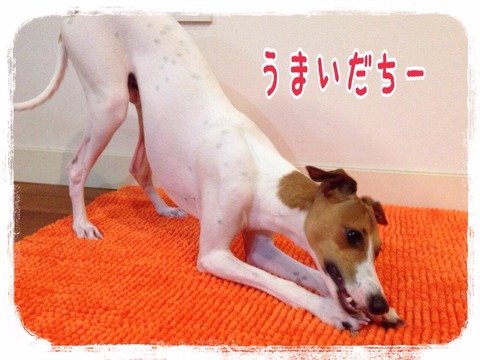 2015-06-22-23-35-41