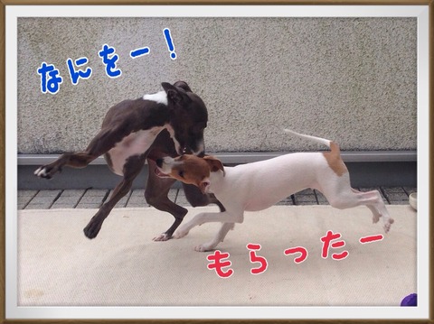 2014-09-10-09-45-12
