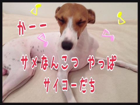 2015-09-04-23-59-26
