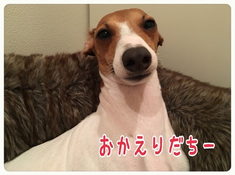 2015-10-28-23-20-22