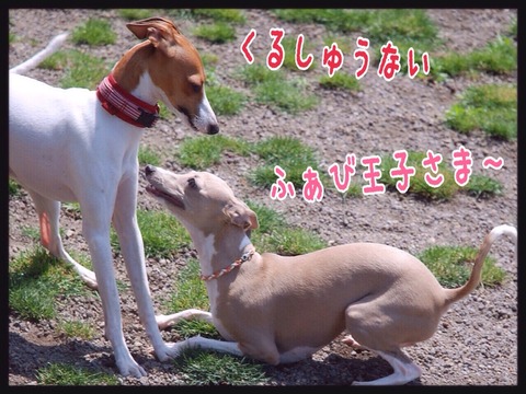 2015-05-11-23-39-57
