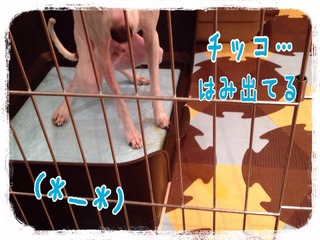 2015-02-01-22-30-42