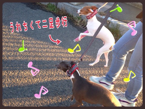 2015-01-31-22-03-30