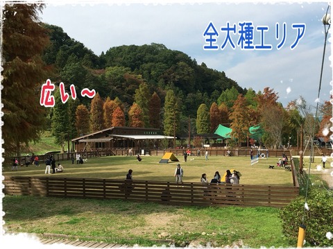 2015-11-01-22-20-59