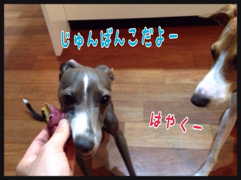 2015-02-28-21-51-25