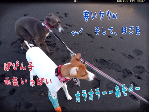 2015-01-23-20-51-08