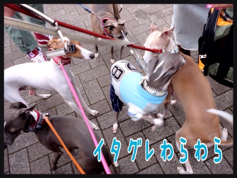 2015-04-13-20-58-28