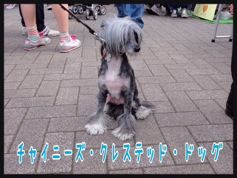2015-04-12-22-42-05