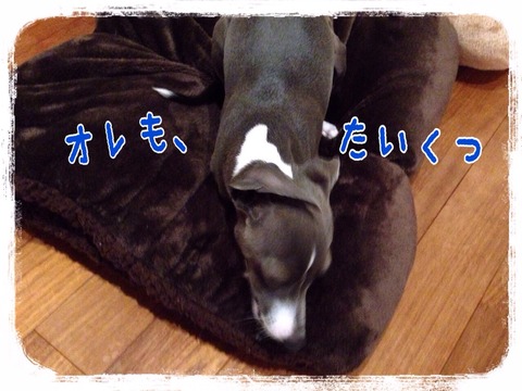 2014-12-27-22-37-23