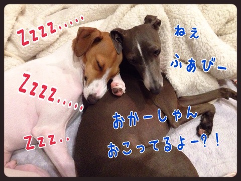 2014-12-30-23-13-37